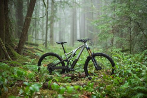 bicicleta rigida o doble