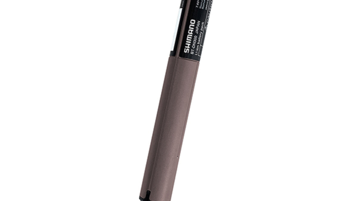 BT-DN300 EW-SD300 2本（700㎜、1200㎜） DI2 シマノ Shimano Bateria