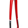 Fork Rigid Trek Domane AL 2 56-62 Viper Red