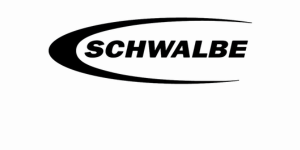 SCHWALBE