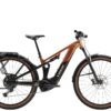 Trek Powerfly FS4EQ EU L 29 Pennyflake/Black Olive GEN 4