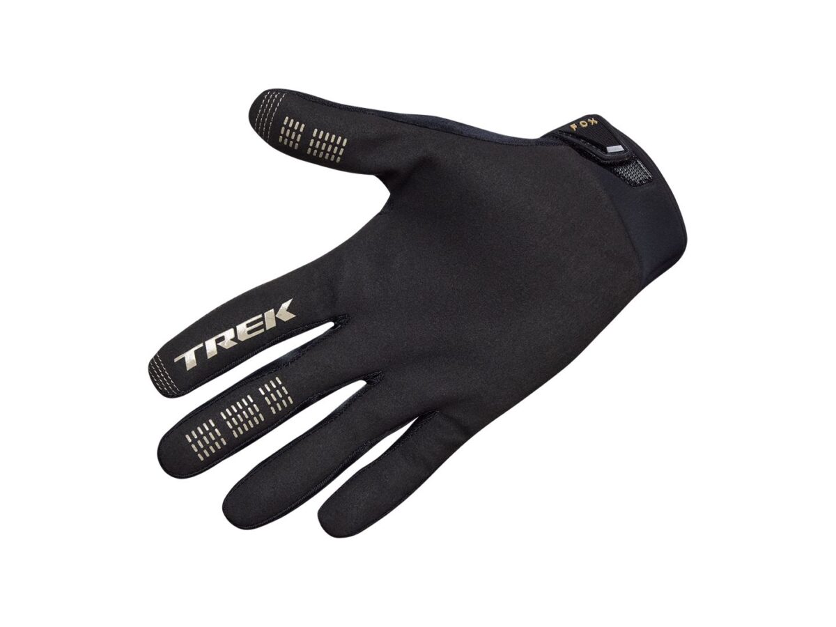 Guantes Fox Racing 25 Ranger XL negro - Imagen 2