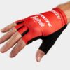 GLV SAN TSF TM S RD