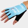 GLV SAN TSF TM WM S LBL