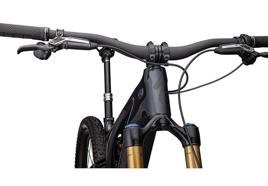 S-Works Turbo Levo G3 - Imagen 5