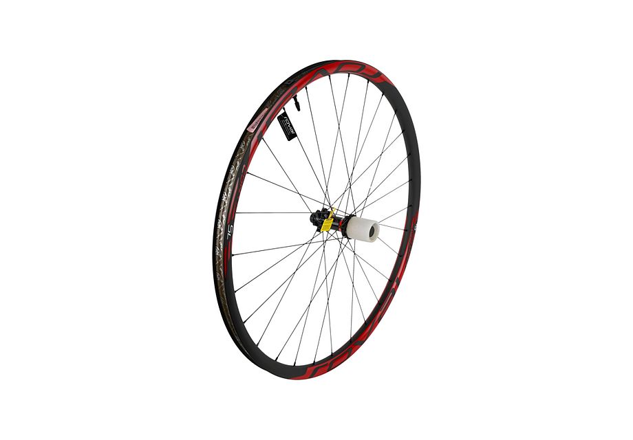 Alternative view of WHL MY14 CONTROL SL, 29, REAR, CARBON, TA, 12X142+, DISC, 6-BOLT, 28H, SHIMANO HG 10-SPD. FHB - RED DECAL