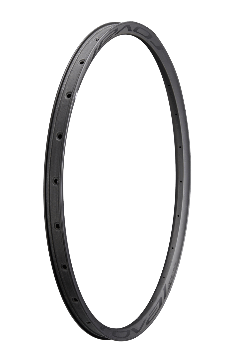 RIM MY21 CONTROL SL 29, FRONT & REAR, CARBON, 24H, DISC, 29MM INTERNAL (WC031) - SATIN CARBON W/ BLACK DECAL