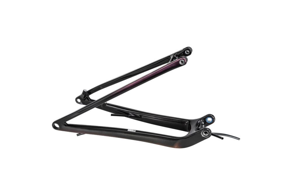 CHS MY24 SW EPIC, REAR STAY ASSEMBLY, 29, CARBON, 12X148MM - CARB/VIVPNKMET/MNSHDWMET