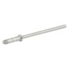 FST TRK RIVET 11MM S FLNG EA
