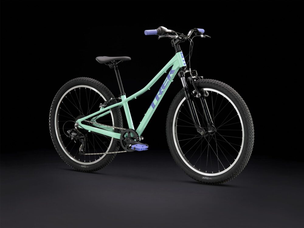 Precaliber 24 de 8 velocidades con suspensión - Imagen 2