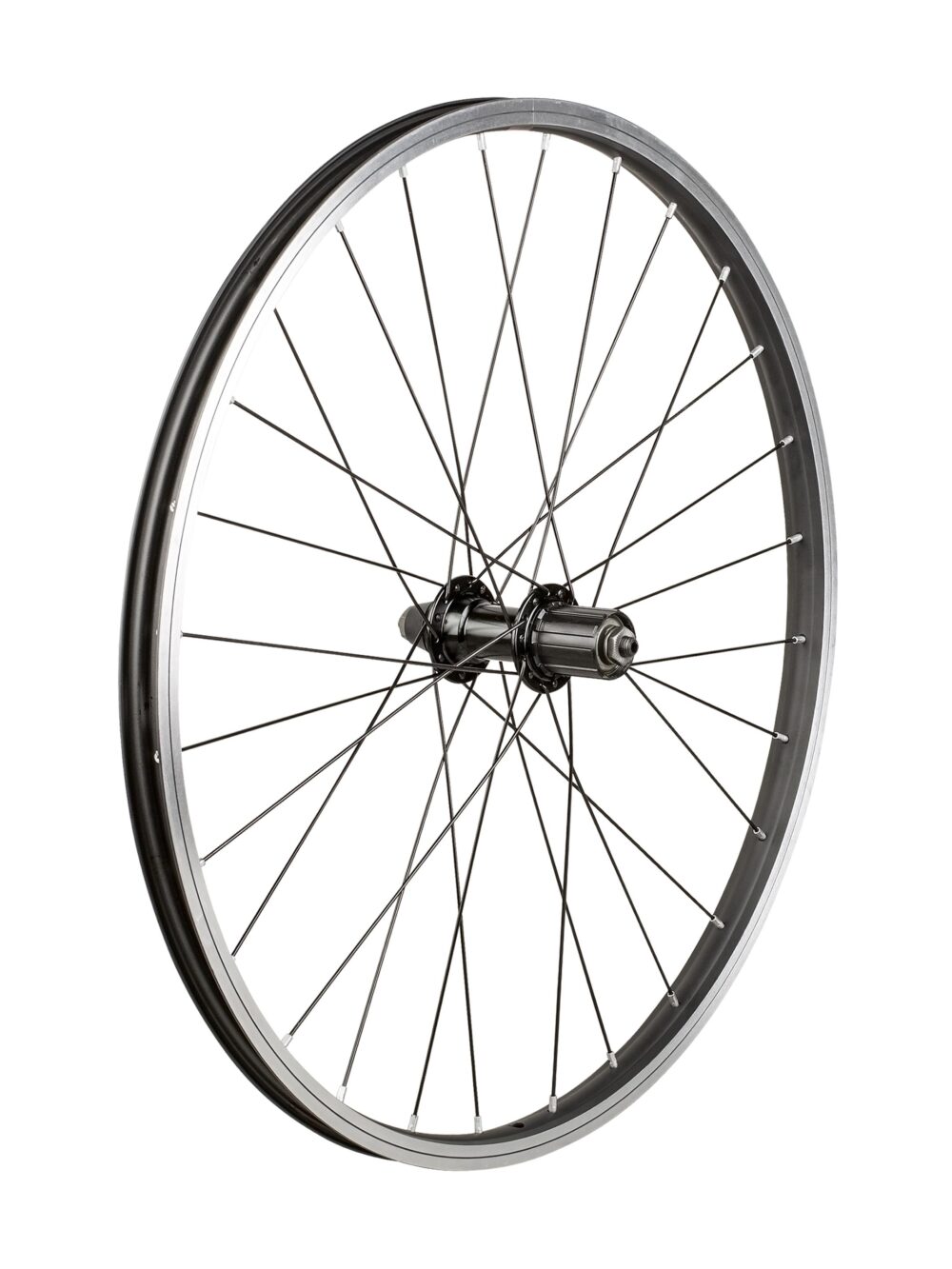 Trek Kids' 28 Hole 24˝ Wheel