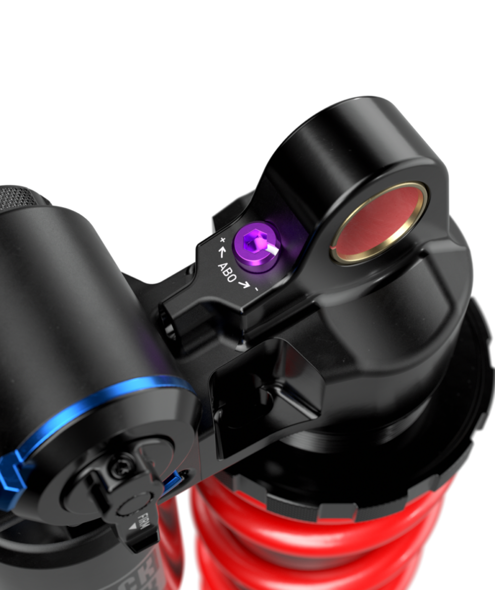 REAR SHOCK VIVID COIL ULTIMATE DH RC2 (250X72.5) STANDARD STANDARD D1 - Imagen 2