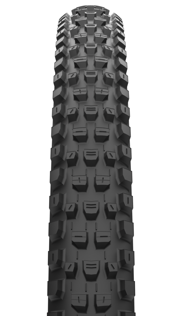 Alternative view of DISSECTOR MOUNTAIN 32X2.40 60 TPI FOLDABLE MAXXTERRA/EXO+/TR